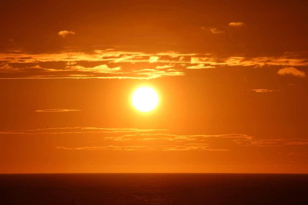 Wieczorne słońce w Zelandii puzzle online