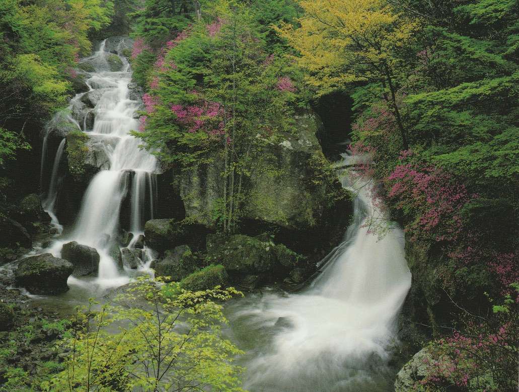 Dwa pędzące wodospady w lesie puzzle online