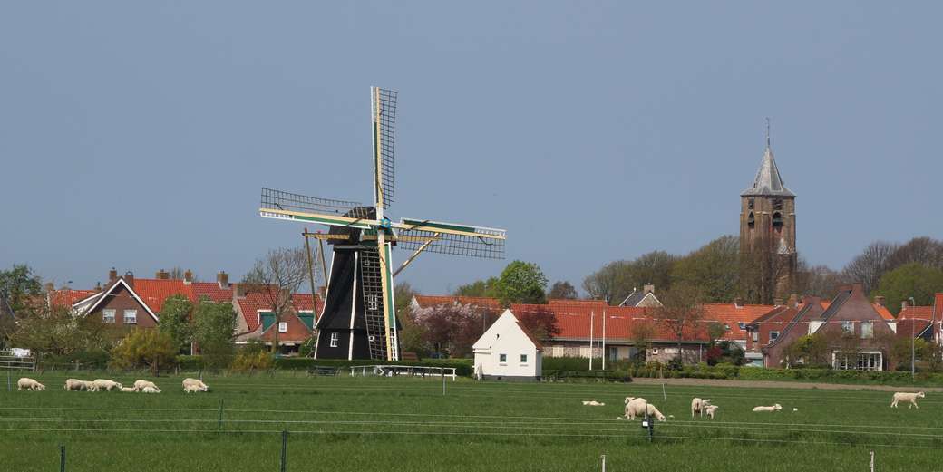 Wieś w Zeeland Holland puzzle online