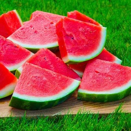 watermeloen - zoet fruit legpuzzel