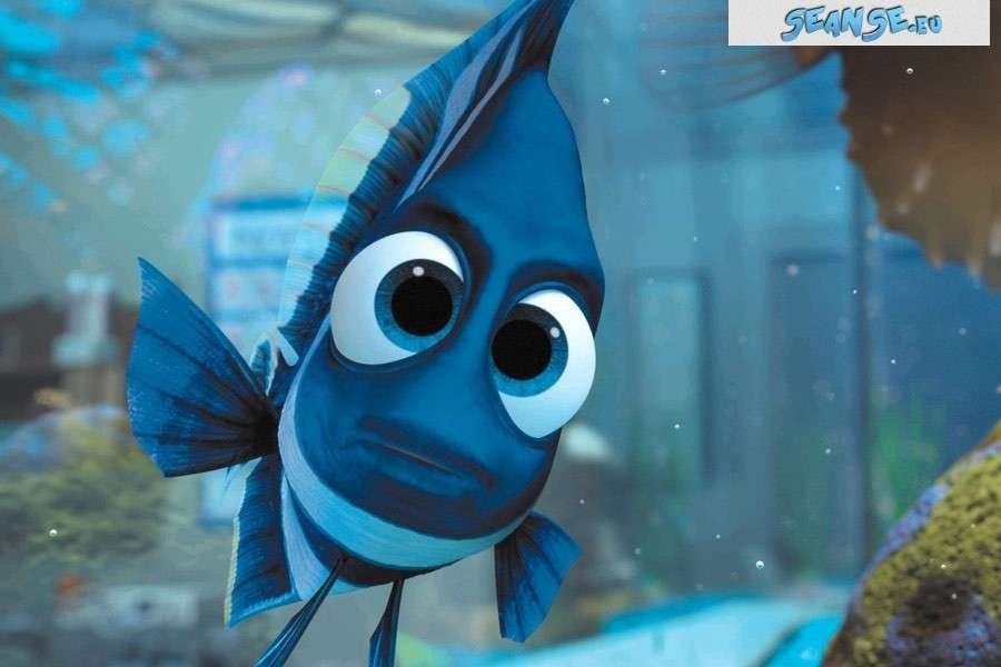 Film Gdzie jest Nemo? puzzle online