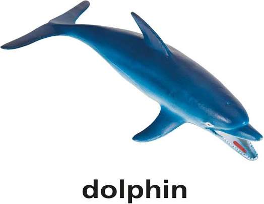 d jak delfin puzzle online