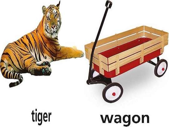 wagon tygrysi puzzle online