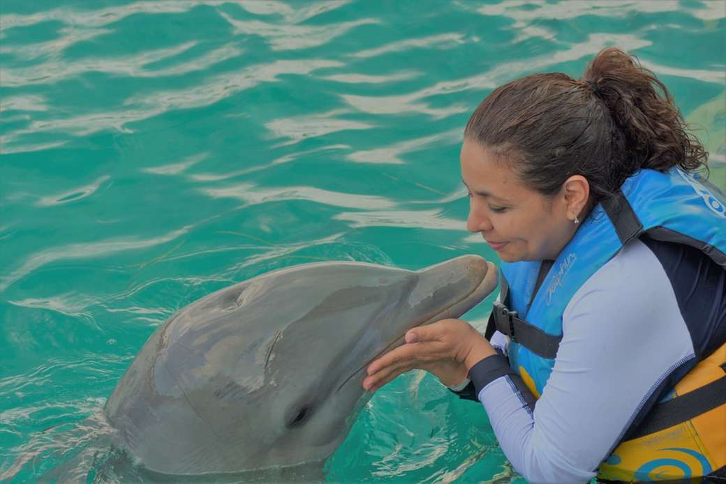 kobieta bawi się z delfinem w zbiorniku wodnym puzzle online