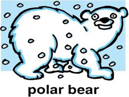 p jak niedźwiedź polarny puzzle online