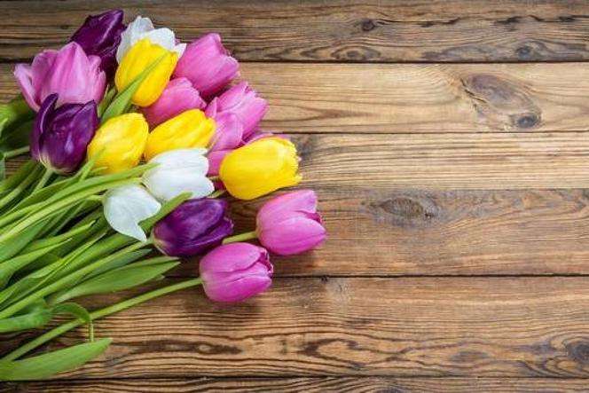 Kwiaty- tulipany puzzle online