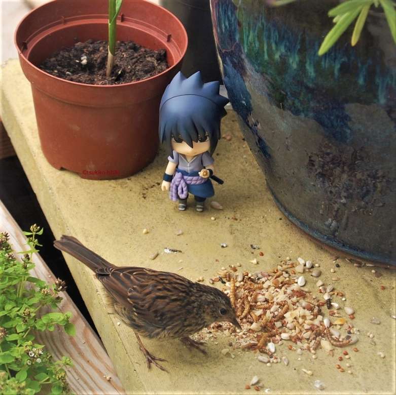 Sasuke podziwia ptaka puzzle online