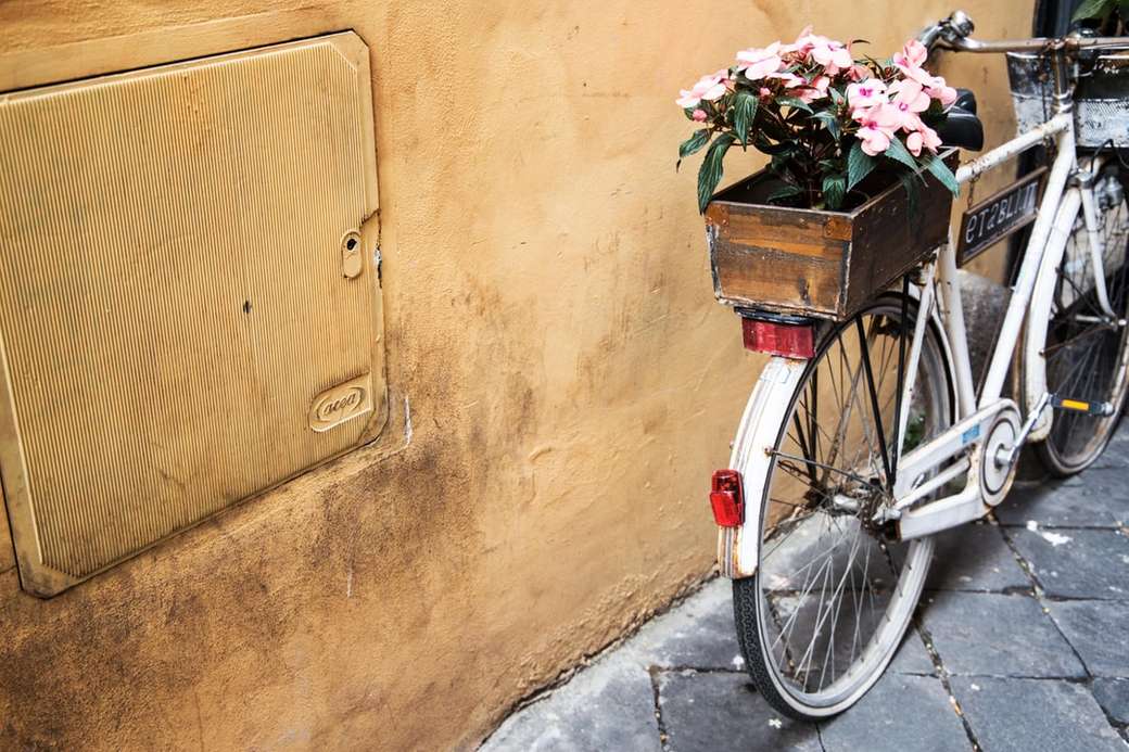 Rower ze skrzynką na kwiaty puzzle online