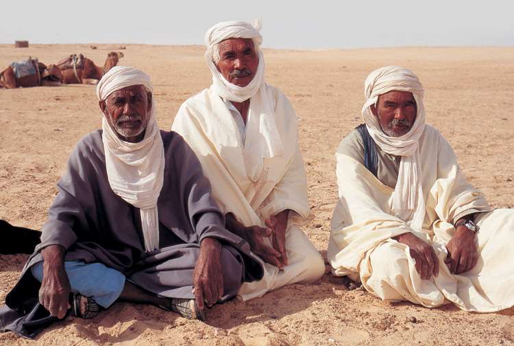 berberyjscy pasterze na saharze puzzle online