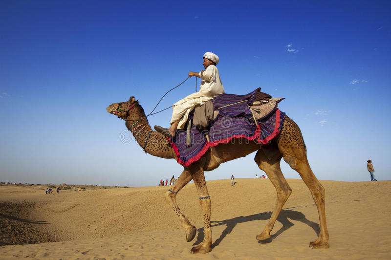 kameel in de woestijn puzzel