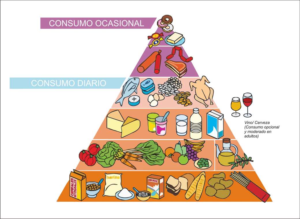 food pyramid jigsaw puzzle