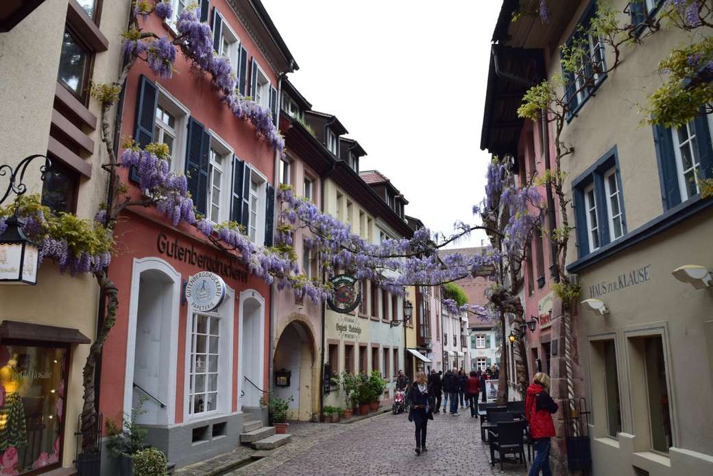 Freiburg im Breisgau oude stad legpuzzel