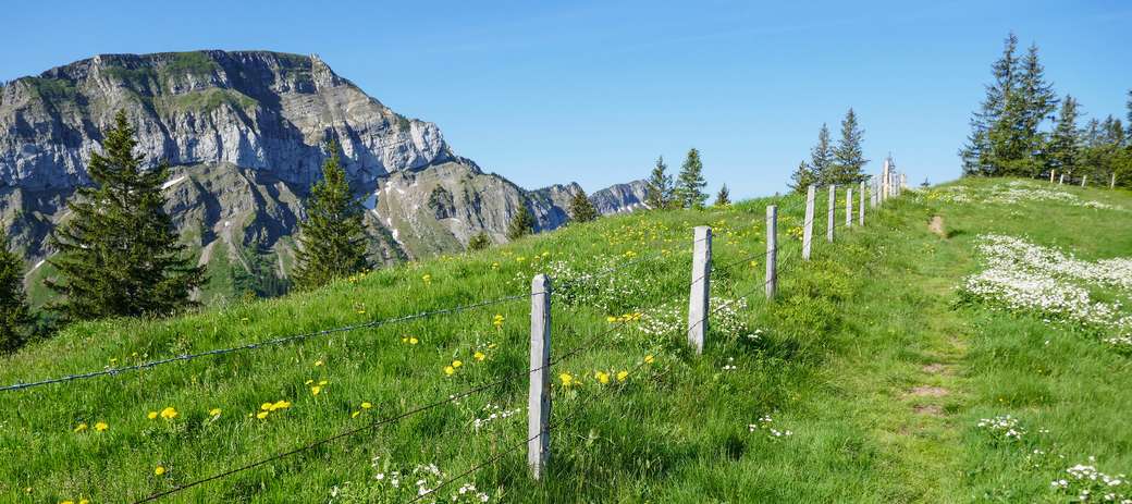 Szlak turystyczny Schwarzenberg Vorarlberg puzzle online