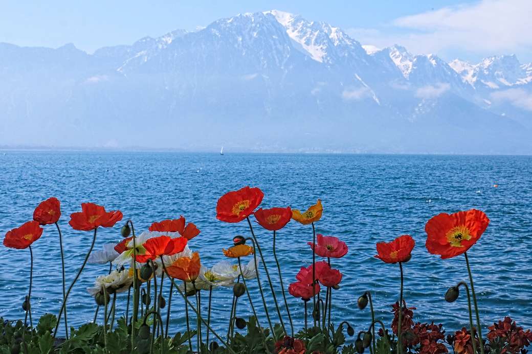 Jezioro Genewskie wiosną puzzle online