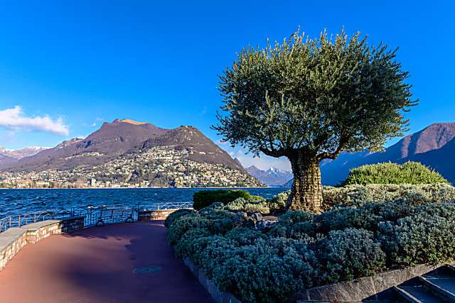 Jezioro Lugano Ticino puzzle online