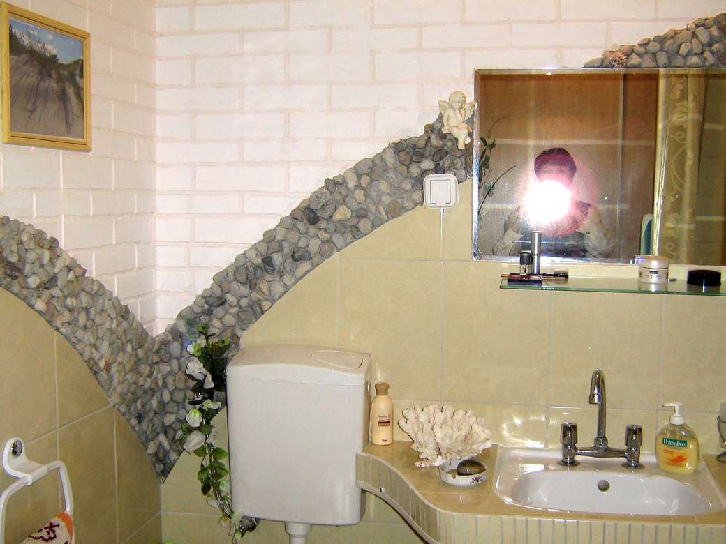 łazienka w bloku puzzle online