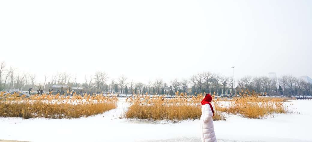 Dziewczyna z czerwonym szalikiem w śniegu puzzle online