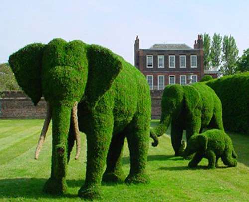 Słonie - topiary ......... puzzle online