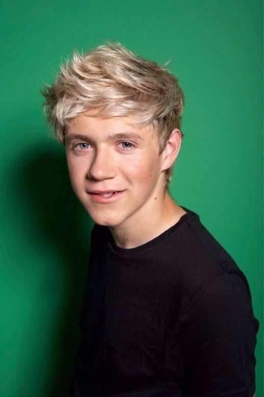 Niall Horan. puzzle online