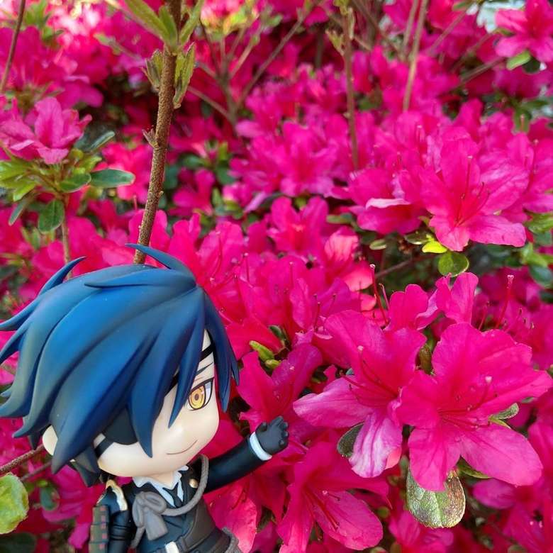 Mitsutada w środku pięknych kwiatów puzzle online