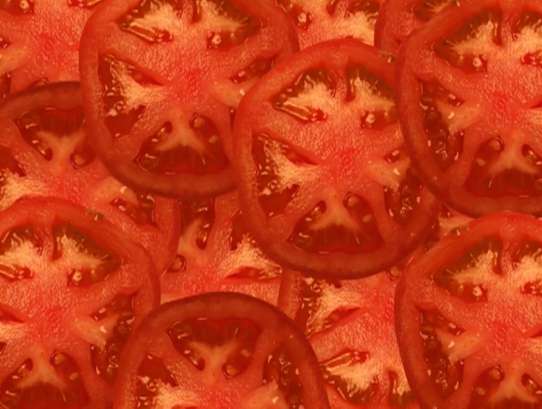 t dotyczy pomidorów puzzle online