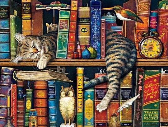 Koty wśród tysiąca książek puzzle online