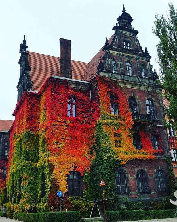 Jesienna powłoka na Muzeum Narodowym we Wrocławiu. puzzle online