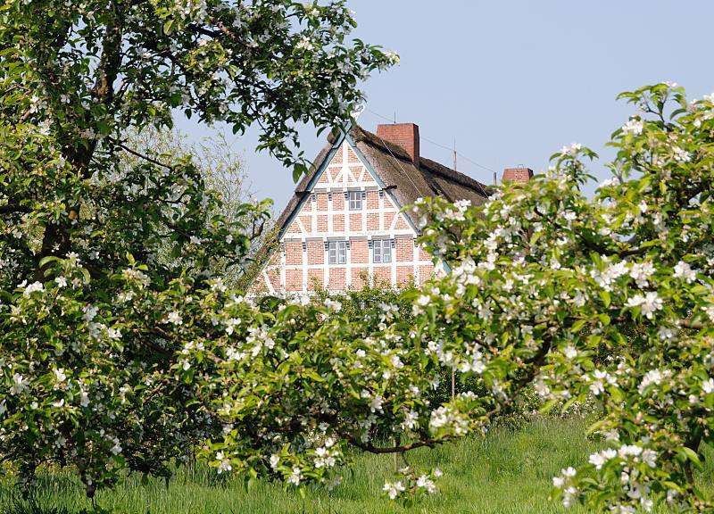 Obszar uprawy owoców Altes Land w pobliżu Hamburga puzzle online