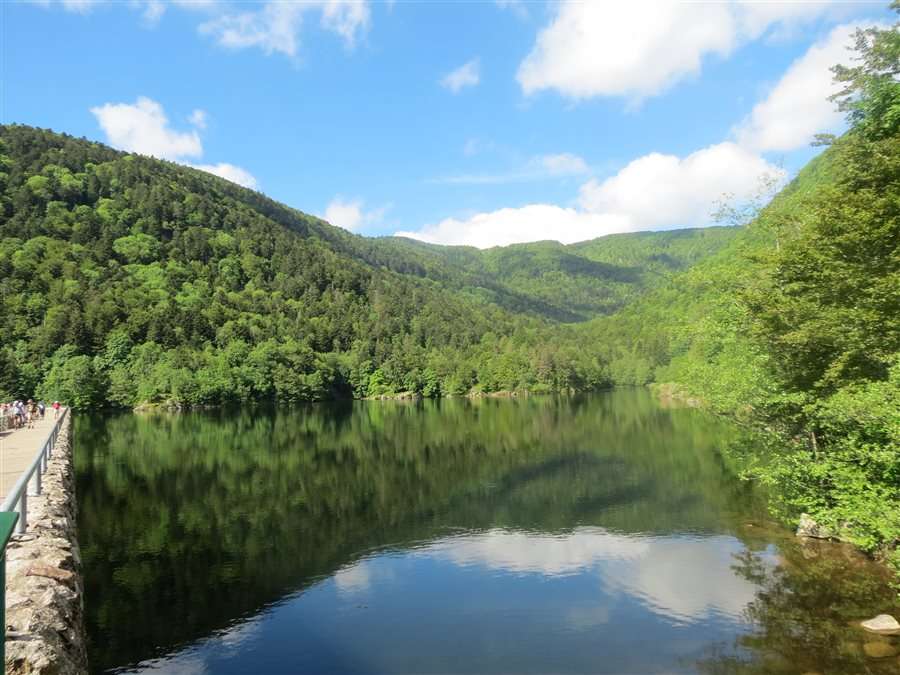 Vosges Peche au Lac Dalfeld puzzle online