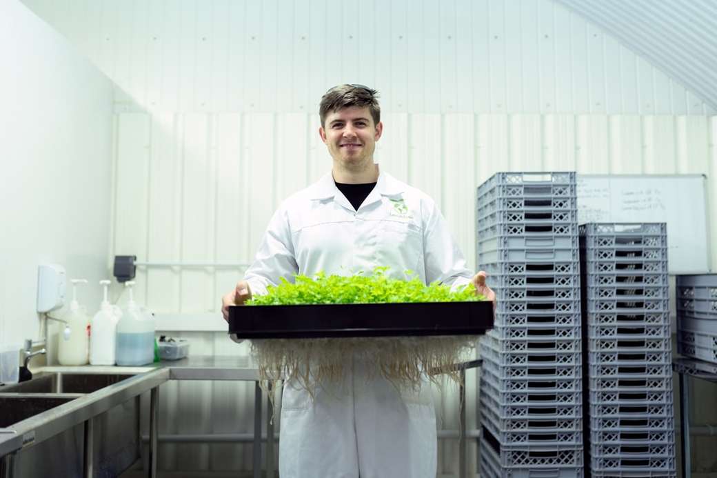 mężczyzna w białej koszuli sukni gospodarstwa zielonych warzyw puzzle online