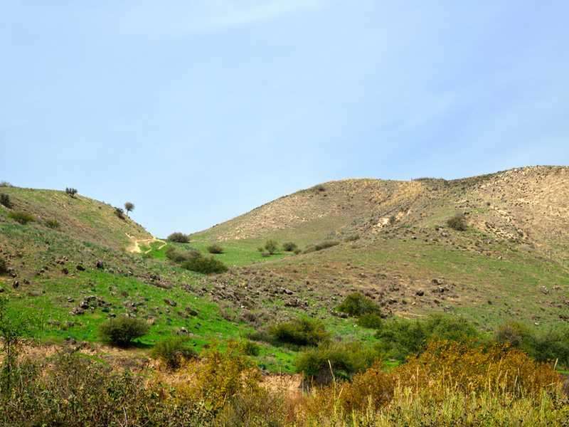 Góra Karmel w pobliżu Hajfy w Izraelu puzzle online