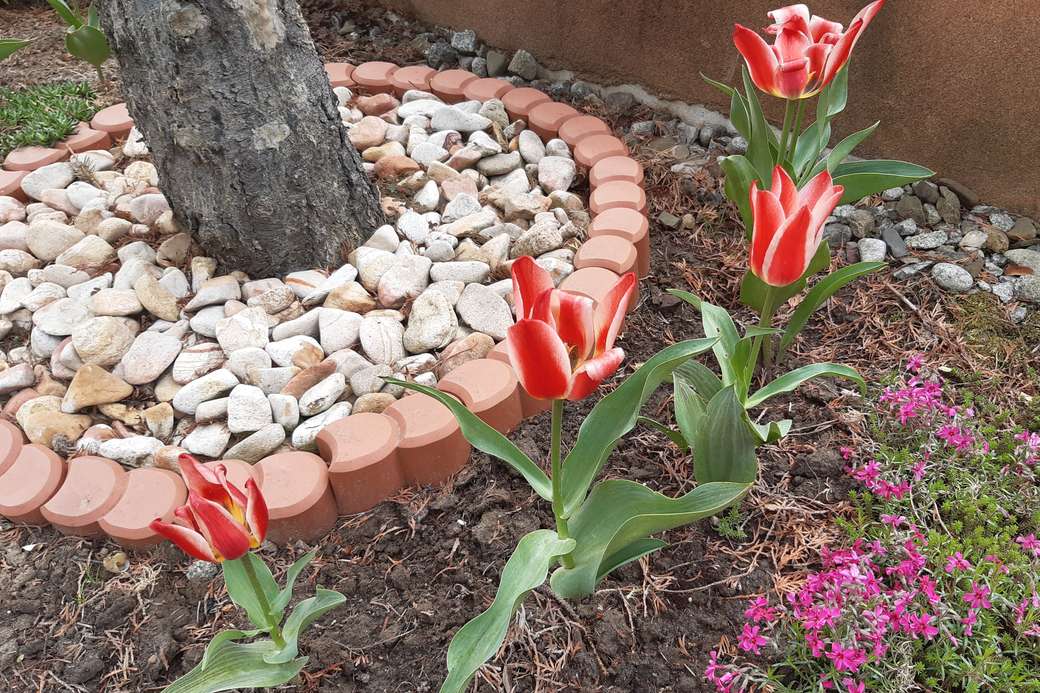 tulipany pod drzewem puzzle online