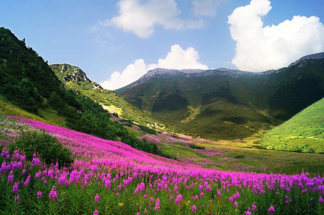 Góry w kolorze różowym puzzle online