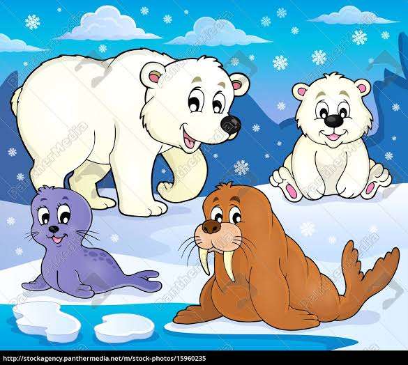 Zwierzęta arktyczne puzzle online