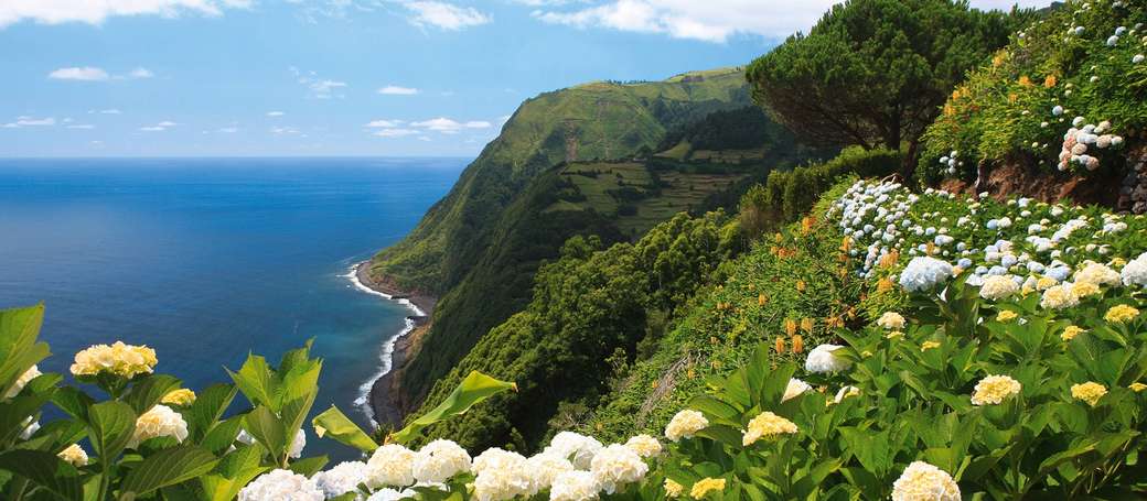 Krajobraz przybrzeżny wyspy Azorów puzzle online