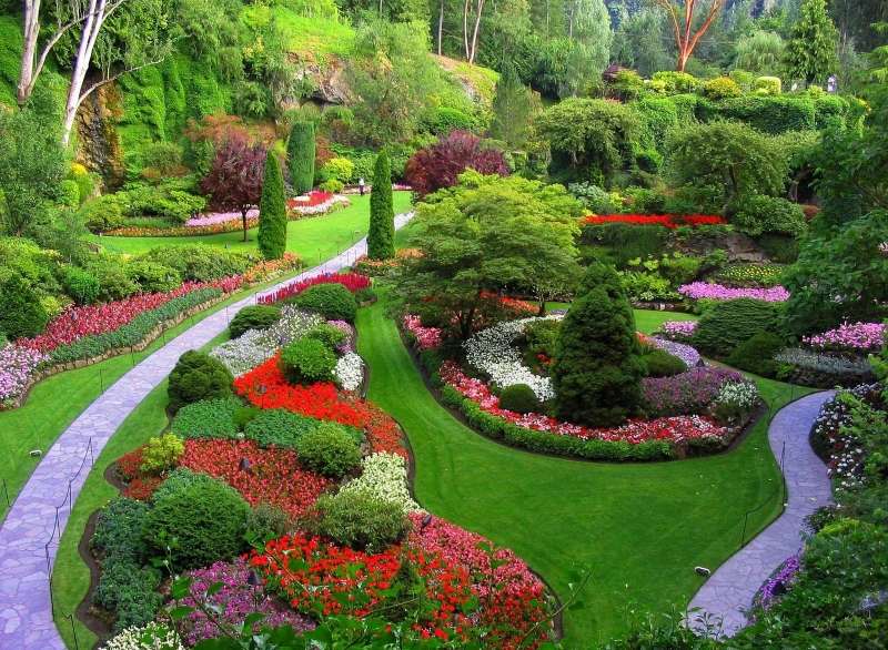 ogród w zieleni i kwiatach puzzle online