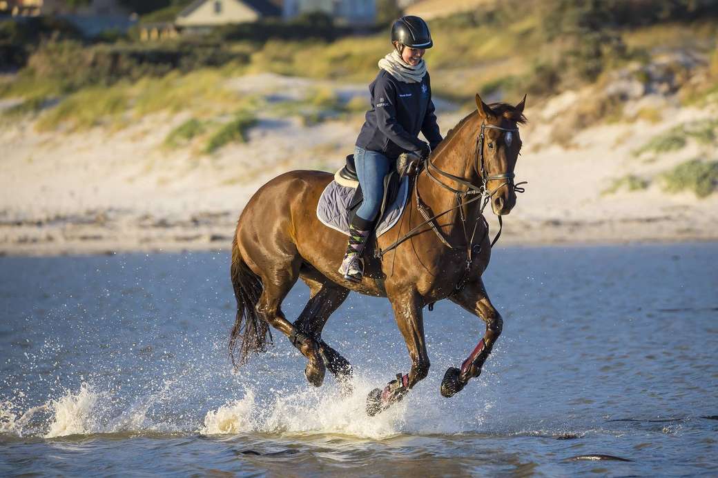 koń biegnący po wodzie puzzle online