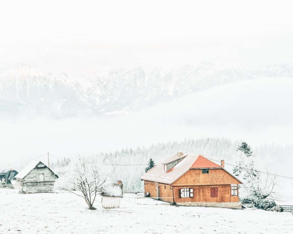 pokryte śniegiem drzewa obok domu puzzle online