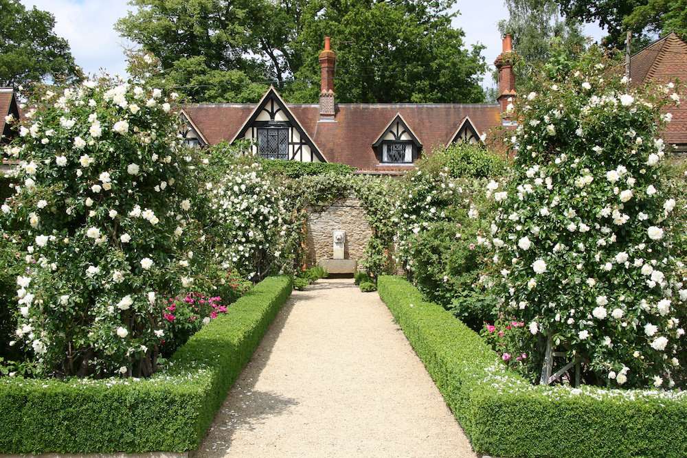 Losely Rose Park England puzzle online