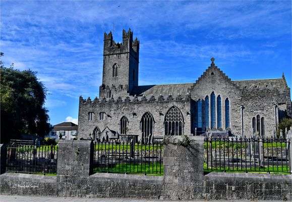 Limerick Saint Marys Cathedral Irlandia puzzle online
