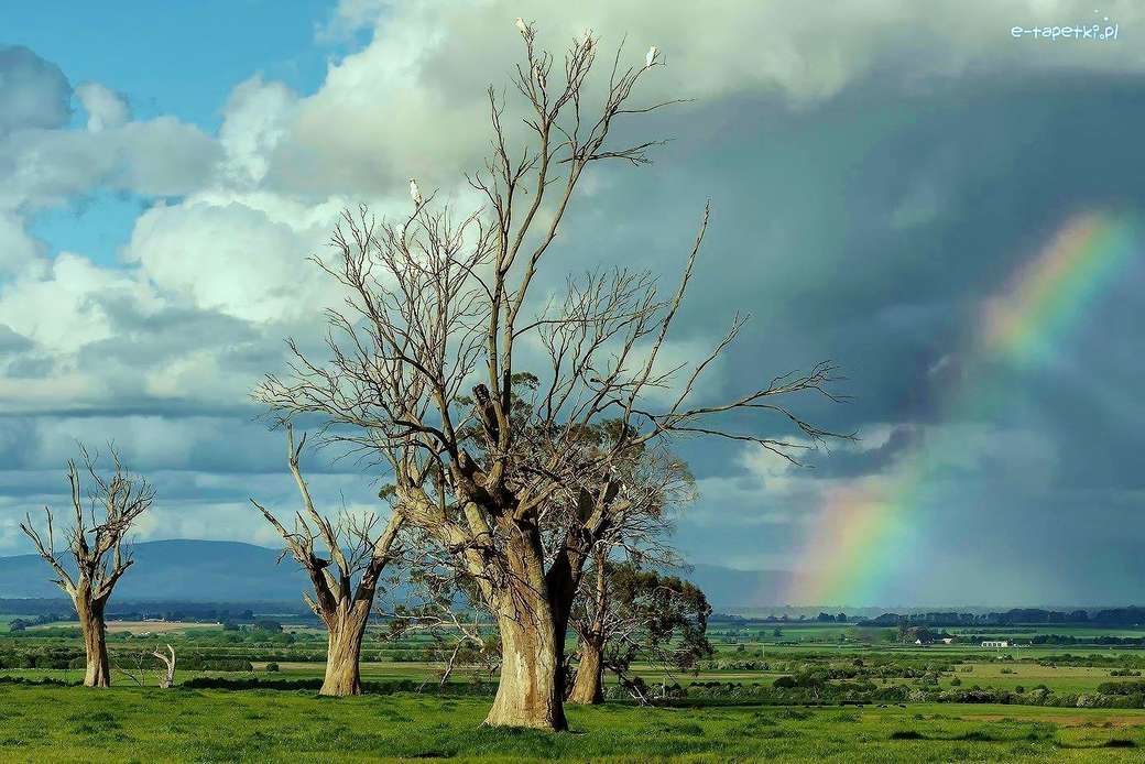 suche drzewa - tęcza puzzle online