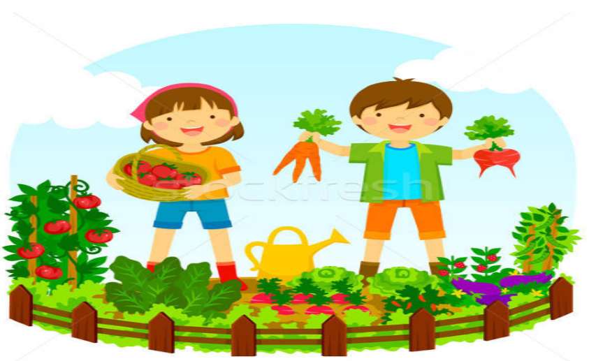 warzywa dla dzieci puzzle online