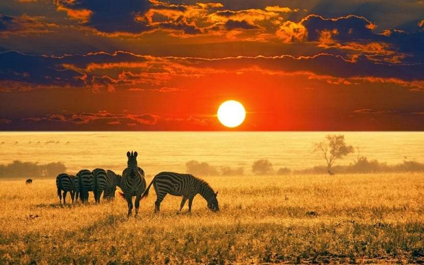 Afryka i jej natura puzzle online