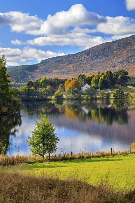 Loch Alvie w pobliżu Aviemore Scotland puzzle online