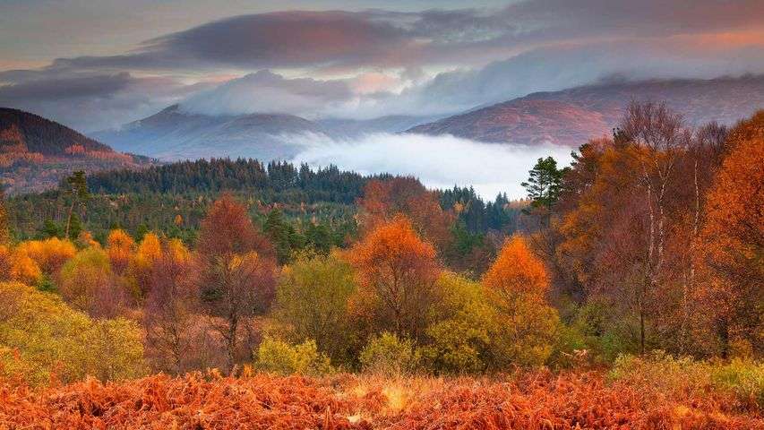 Loch Lomond z parkiem narodowym Szkocji puzzle online