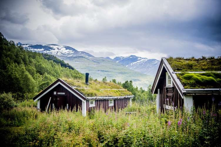 Park Narodowy w Norwegii puzzle online