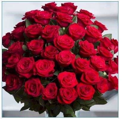 Najpiękniejsze kwiaty i są czerwone puzzle online