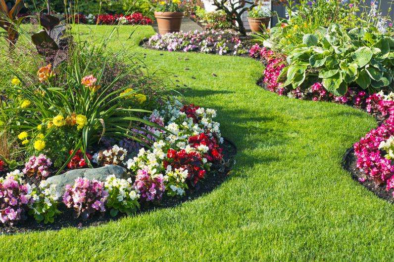klomby ogrodowe z kwiatów puzzle online