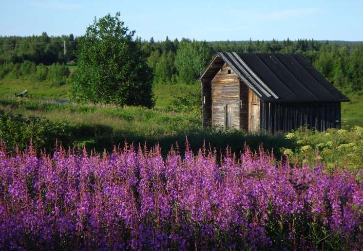 Drewniana chata w fińskiej Laponii puzzle online