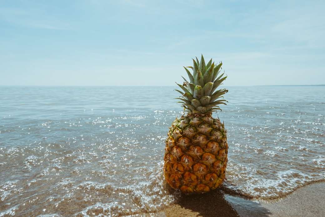 Ananas na plaży puzzle online